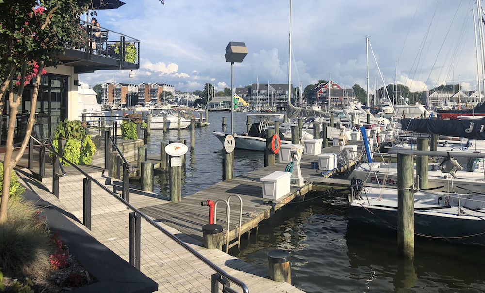 Annapolis Yacht Club