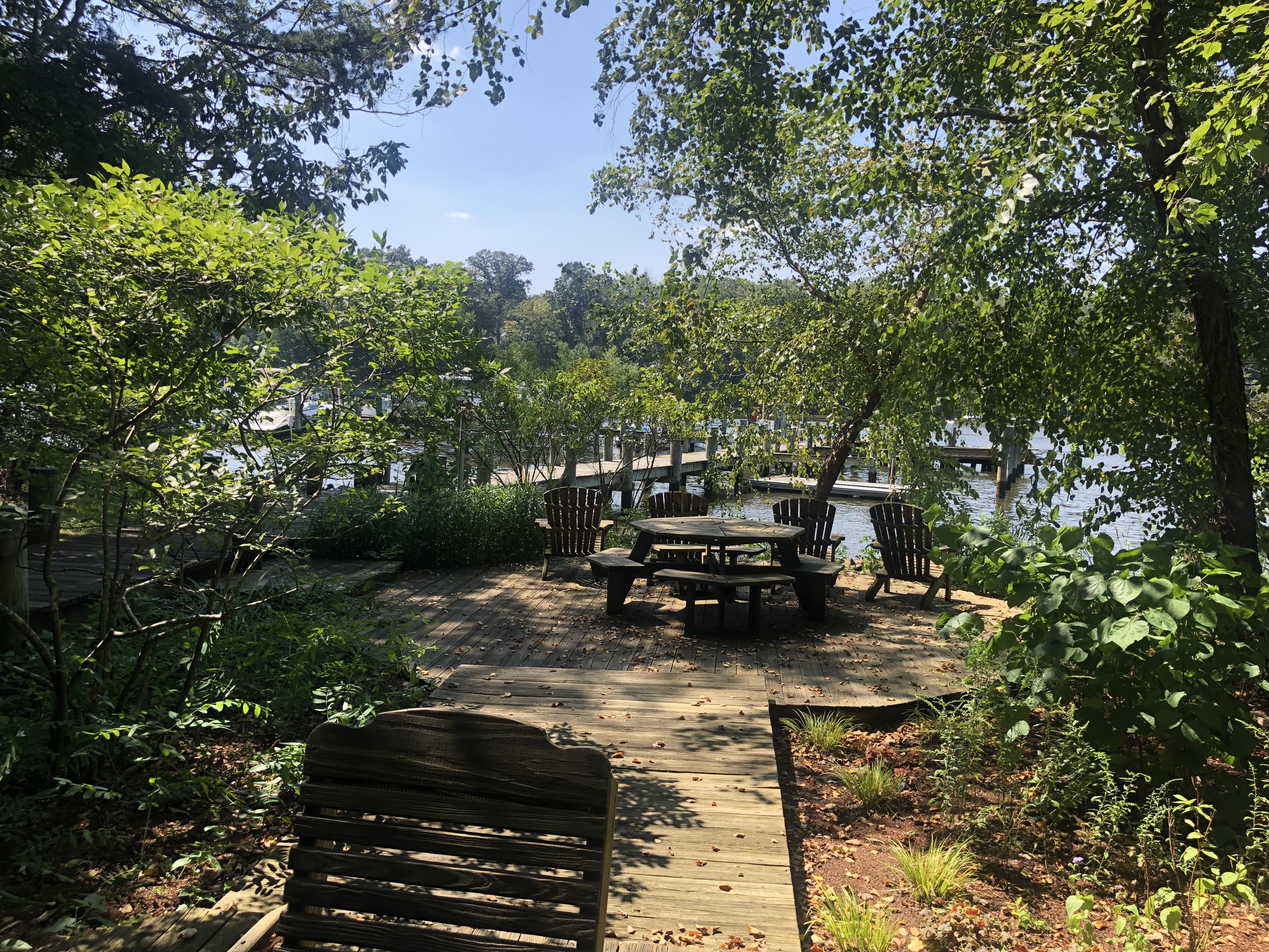 Waterfront Park